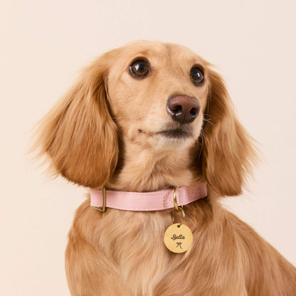 Blush Pink Cotton Dog Collar with Gold Hardware
