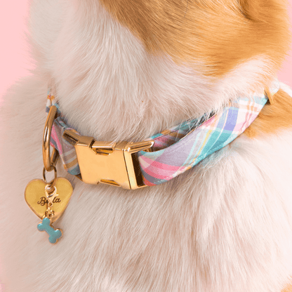 Mint Green Enamel Bone Dog Collar Charm with Gold Trim