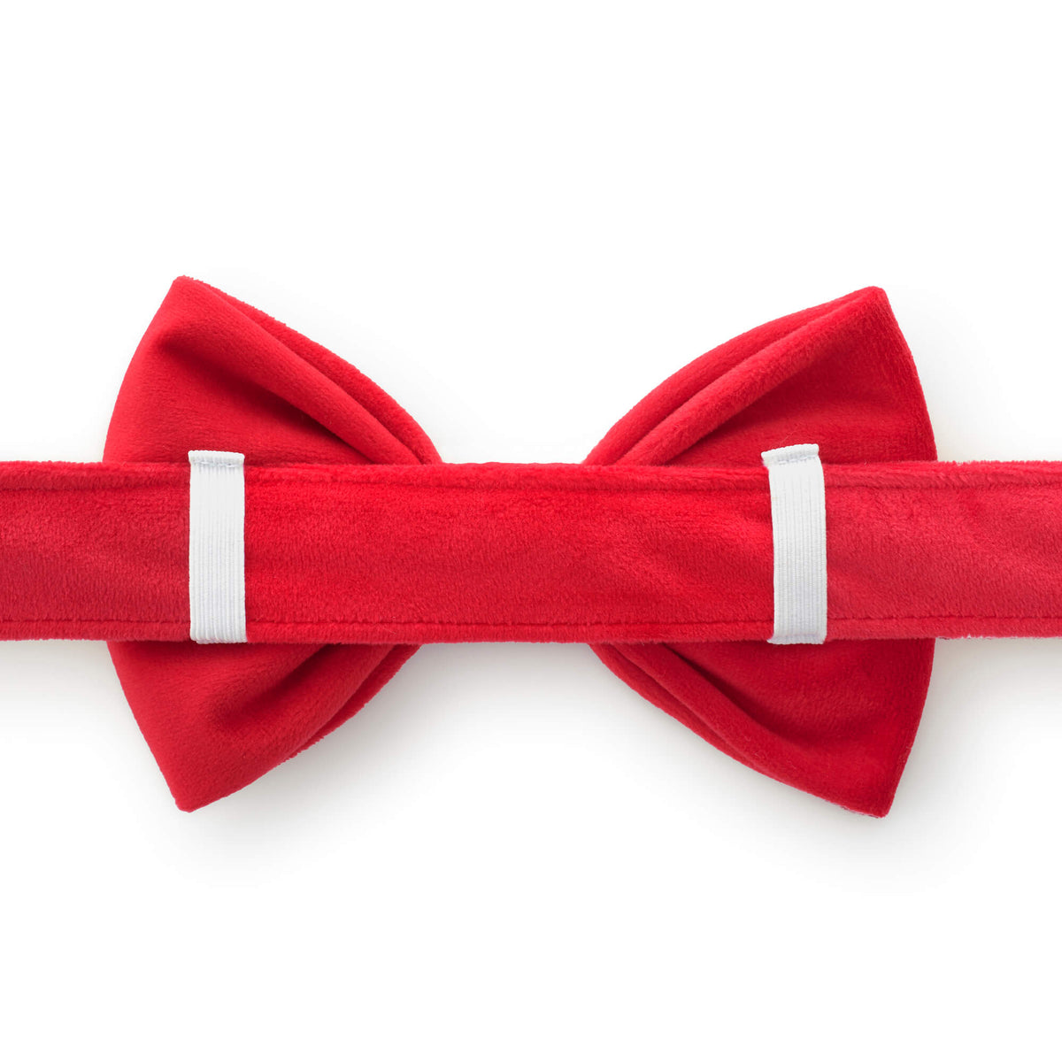 Red Velvet Dog Collar with Removable Bow Tie