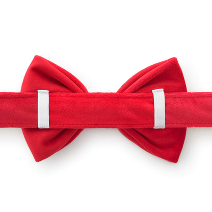 Red Velvet Dog Collar with Removable Bow Tie