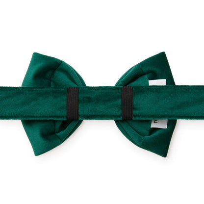 Forest Green Velvet Dog Collar with Removable Bow Tie