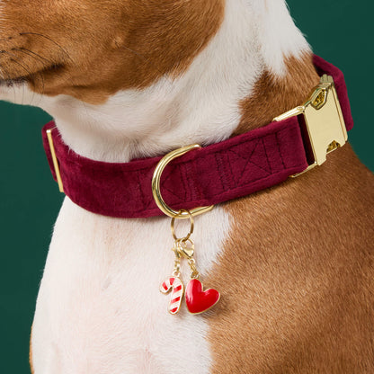 Burgundy Velvet Dog Collar with Gold Hardware