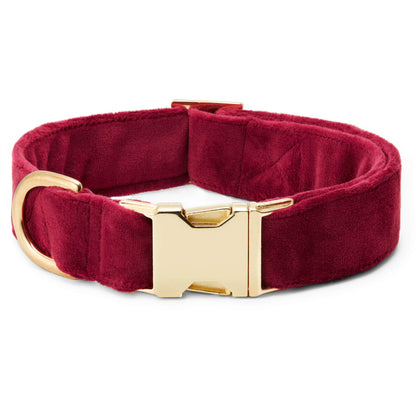 Burgundy Velvet Dog Collar with Removable Lady Bow