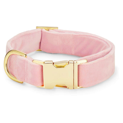 Blush Pink Velvet Dog Collar with Removable Lady Bow