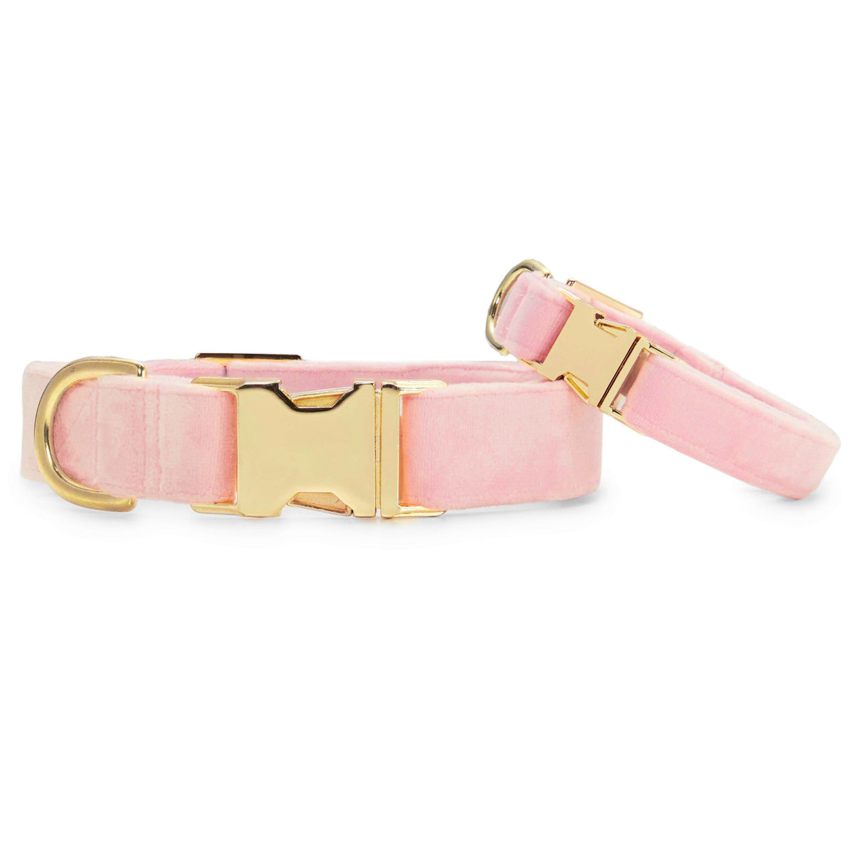 Blush Pink Velvet Dog Collar, Sizes XS to Large