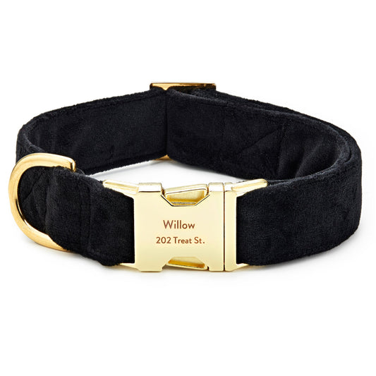 Black Velvet Dog Collar with Gold Hardware