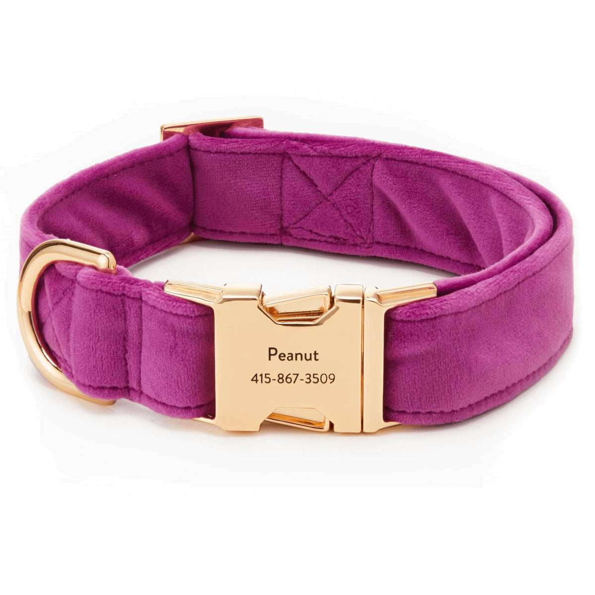 Purple Velvet Dog Collar with Gold Hardware