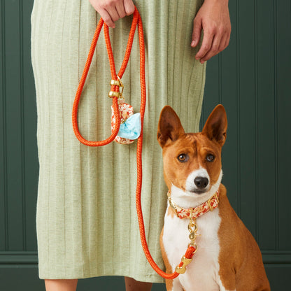 Rust Orange Braided Marine Rope Dog Leash, 5 ft