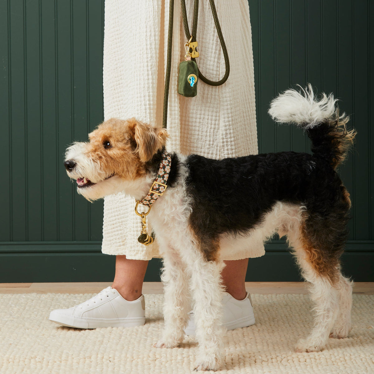 Olive Waxed Canvas Dog Waste Bag Holder with Brass Zipper