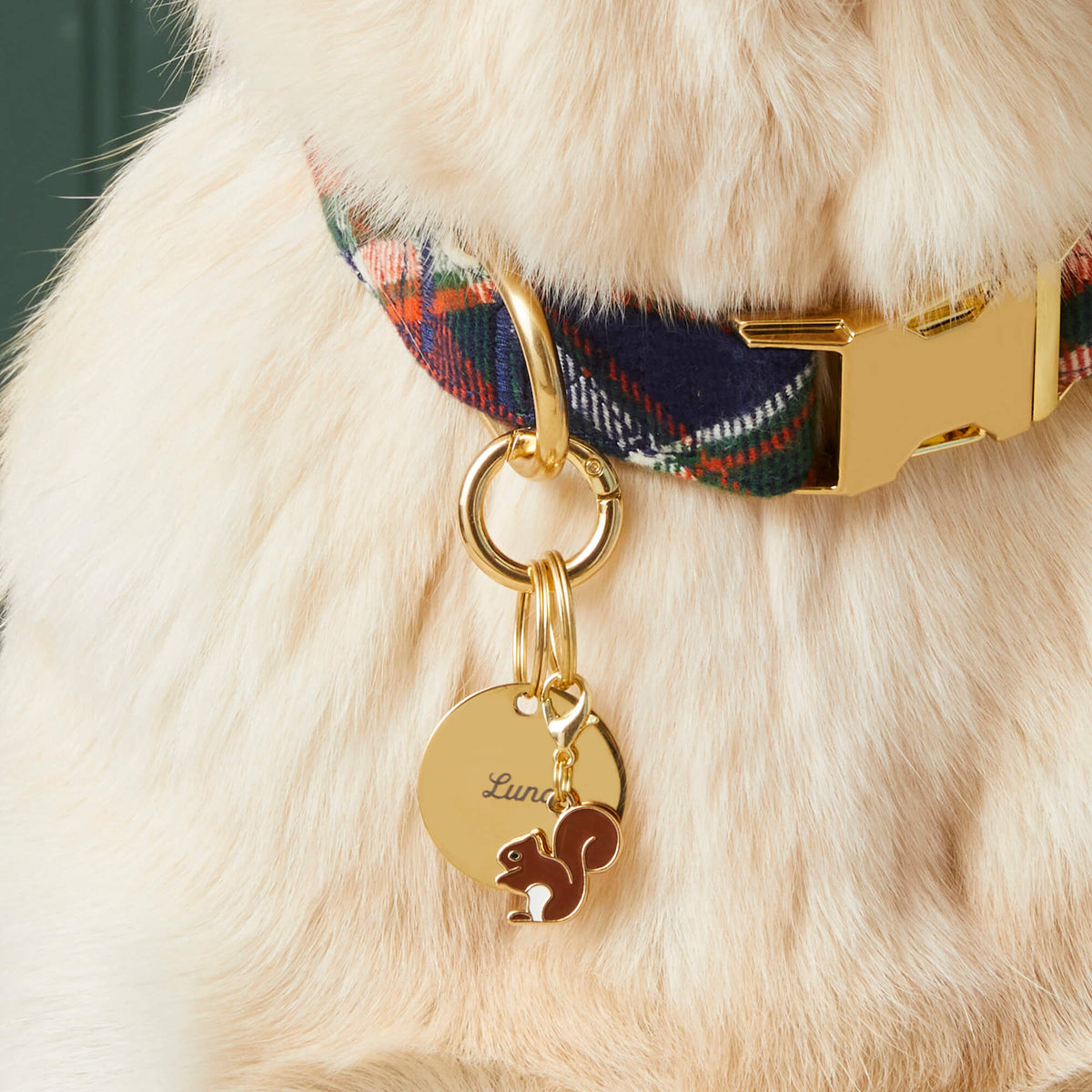 Round Gold Stainless Steel Pet ID Tag for Dogs and Cats, Nickel-Free