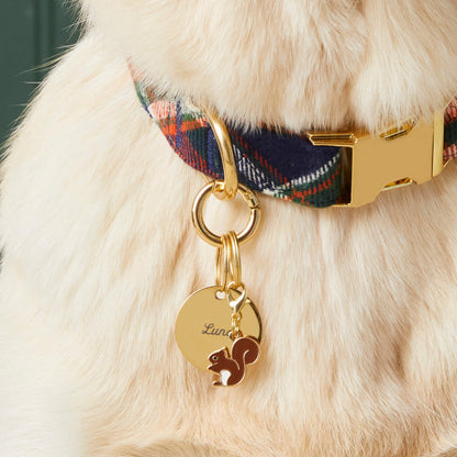 Round Gold Stainless Steel Pet ID Tag for Dogs and Cats, Nickel-Free