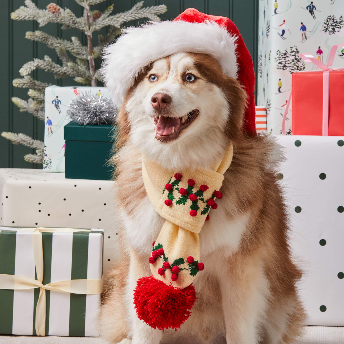 Cream Holly Bobble Knit Pull-Through Dog Scarf with Vegan Leather Tag