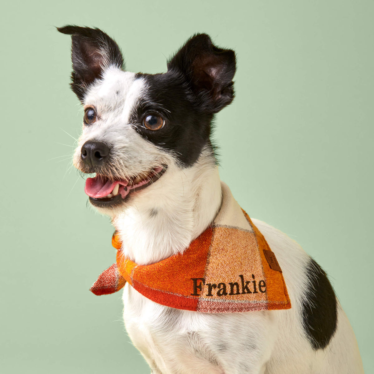 Orange & Cream Plaid Flannel Dog Bandana, Triangle Tie