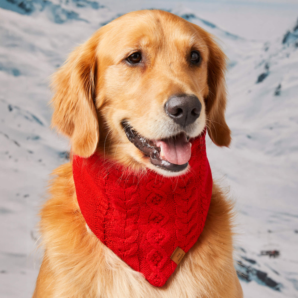 Red Cable Knit Dog Bandana with Snap Closure