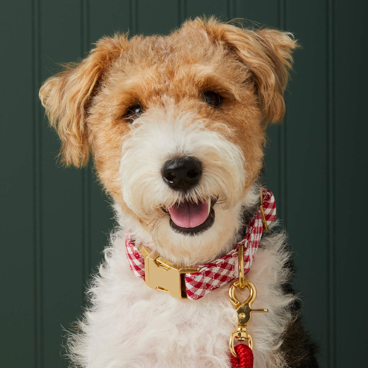 Red Gingham Dog Collar with Metal Hardware