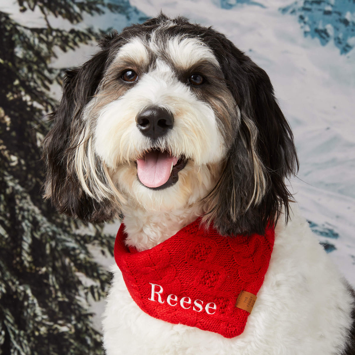 Red Cable Knit Dog Bandana with Snap Closure