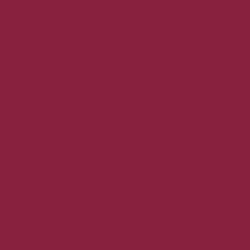 Wine Red Braided Marine Rope Dog Leash, 5 ft