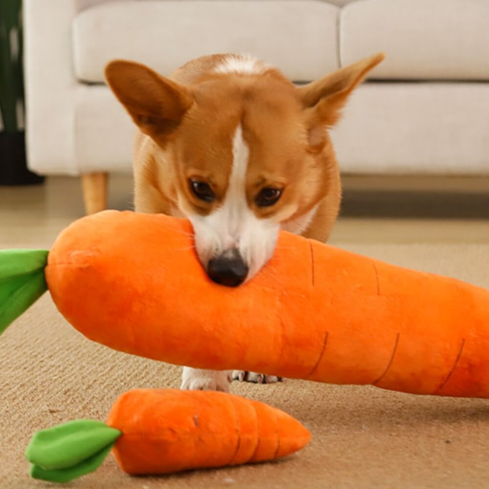 Squeaky Plush Carrot Dog Toy with Crinkle Leaves