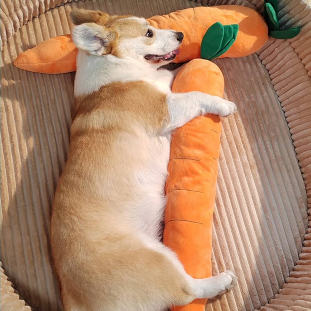 Squeaky Plush Carrot Dog Toy with Crinkle Leaves
