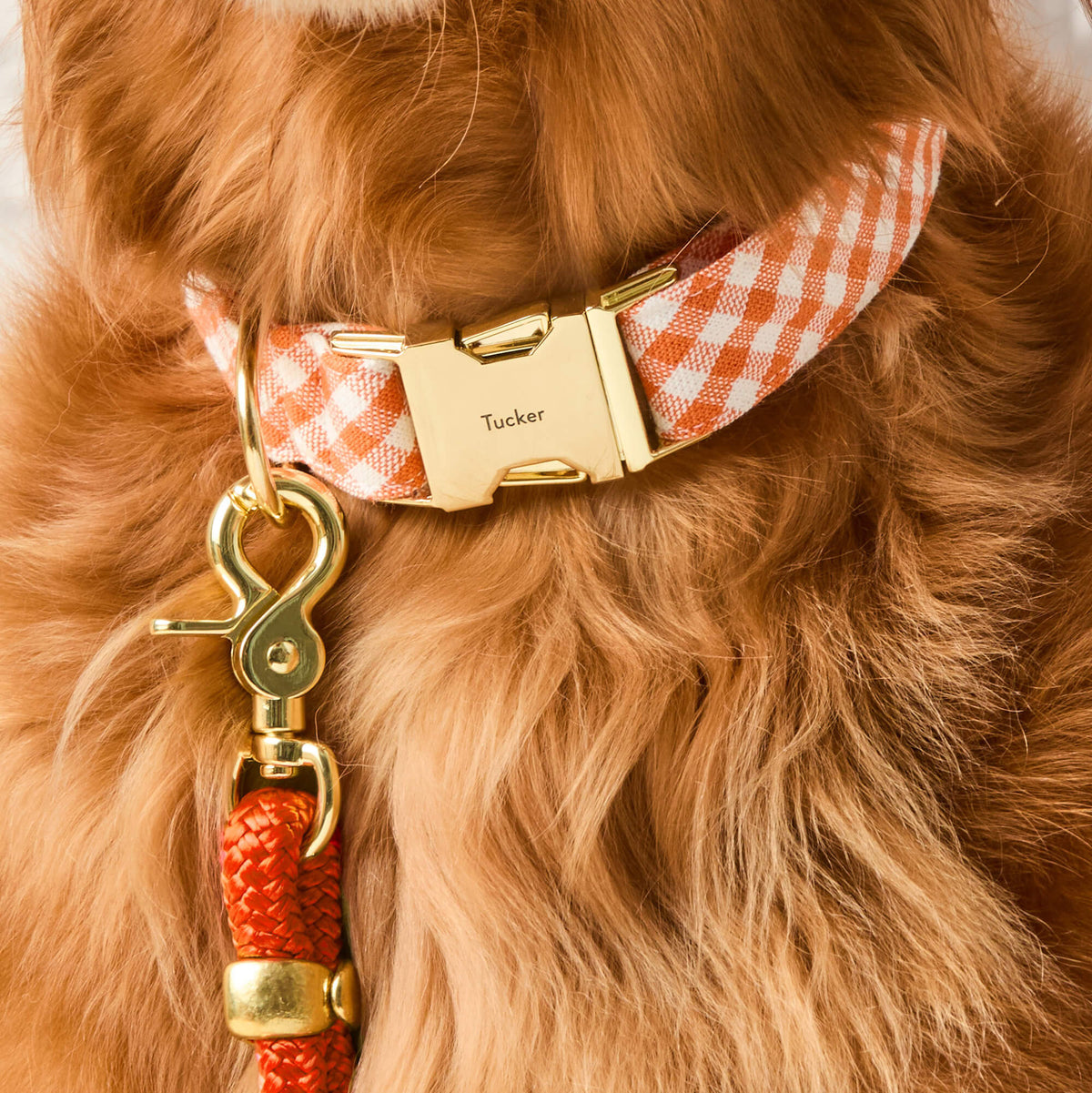 Orange Gingham Cotton Dog Collar with Brass D-Ring