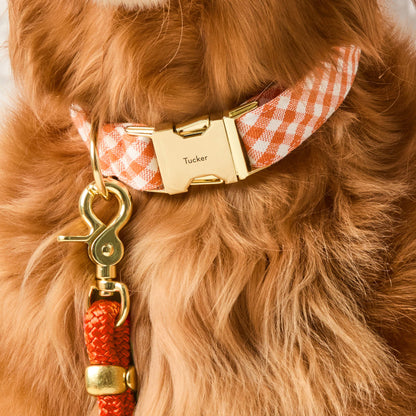 Orange Gingham Cotton Dog Collar with Brass D-Ring