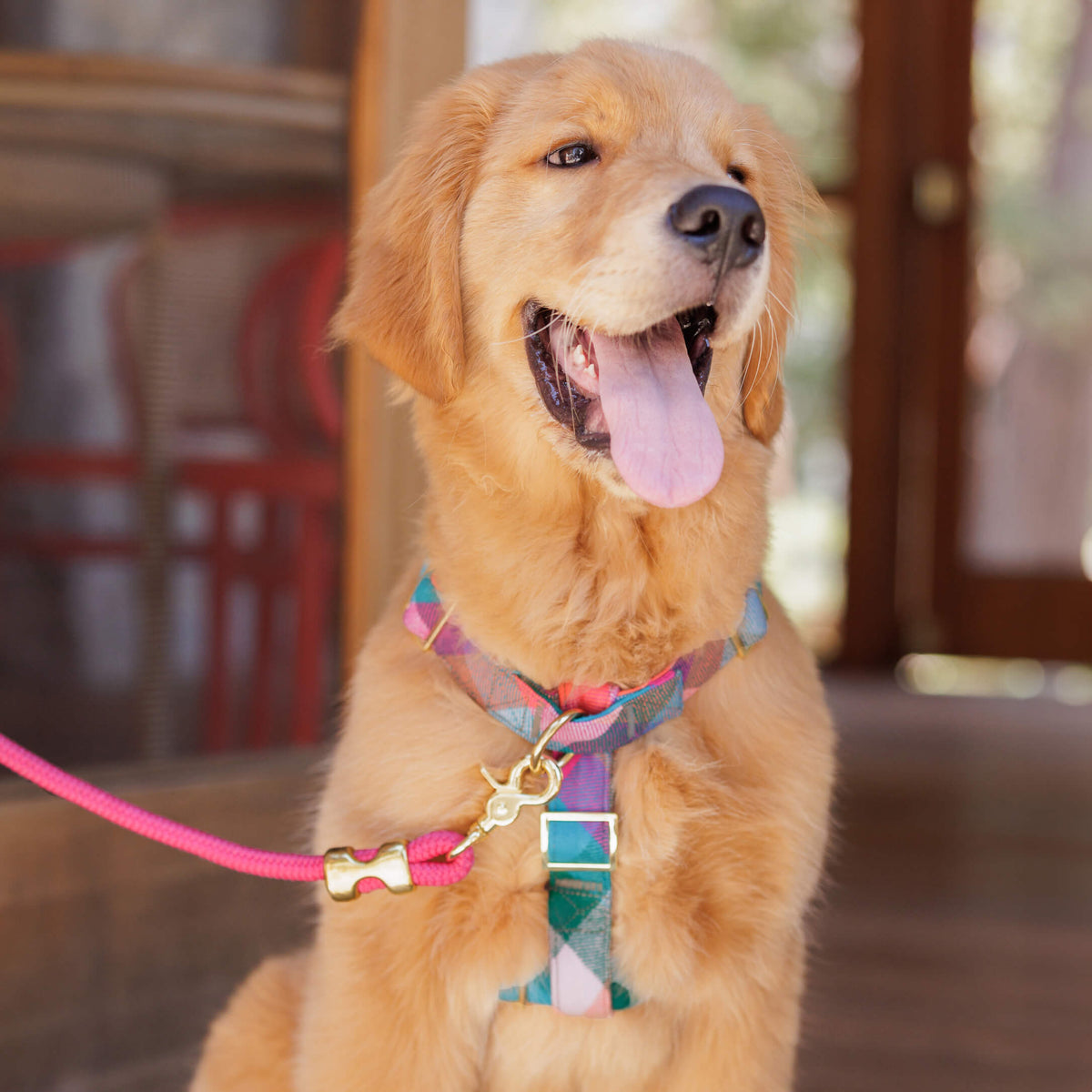 Hot Pink Marine Rope Dog Leash with O-Ring, 5 ft
