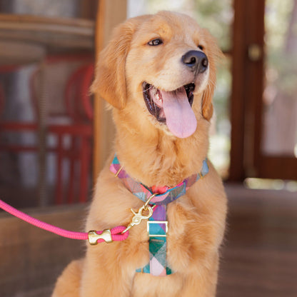 Hot Pink Marine Rope Dog Leash with O-Ring, 5 ft