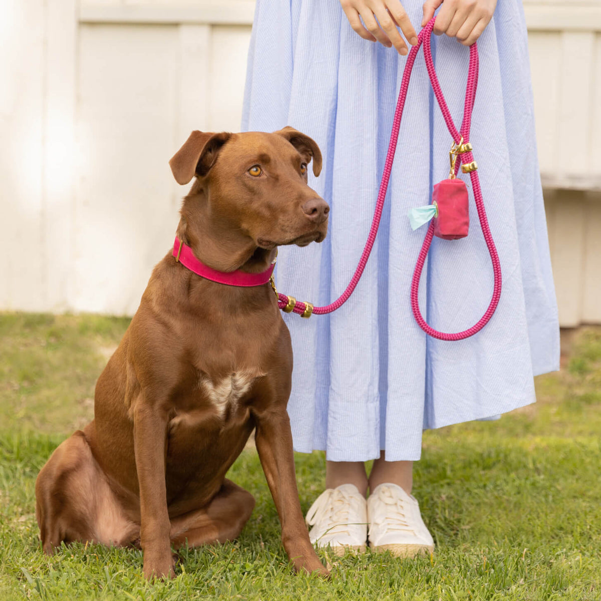 Hot Pink Waxed Canvas Dog Waste Bag Holder with Clip