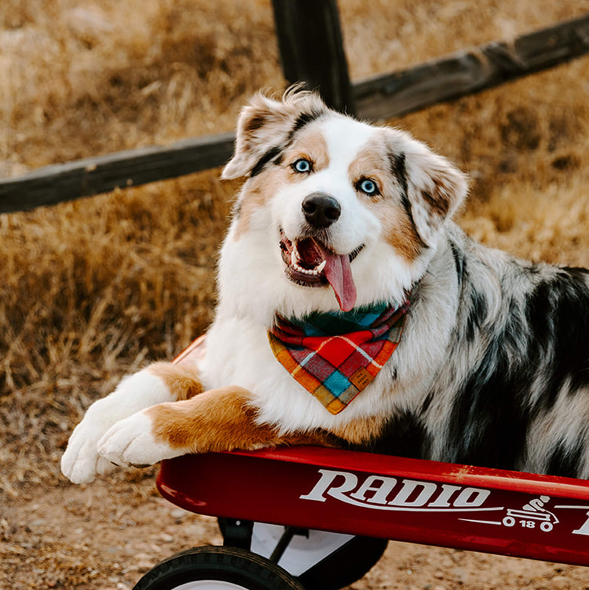 Orange, Red & Teal Plaid Cotton Flannel Dog Bandana