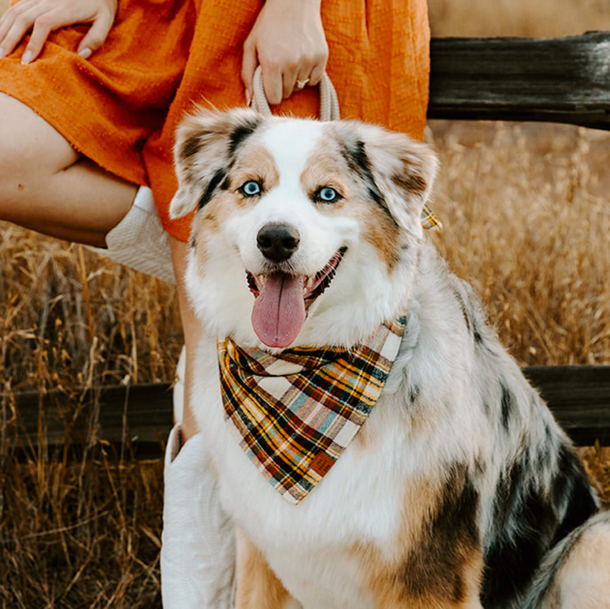 Orange & Navy Plaid Thick Cotton Flannel Dog Bandana
