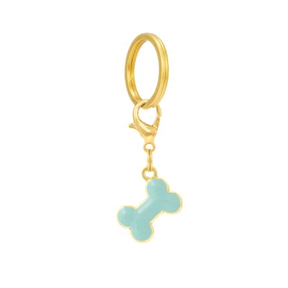 Mint Green Enamel Bone Dog Collar Charm with Gold Trim