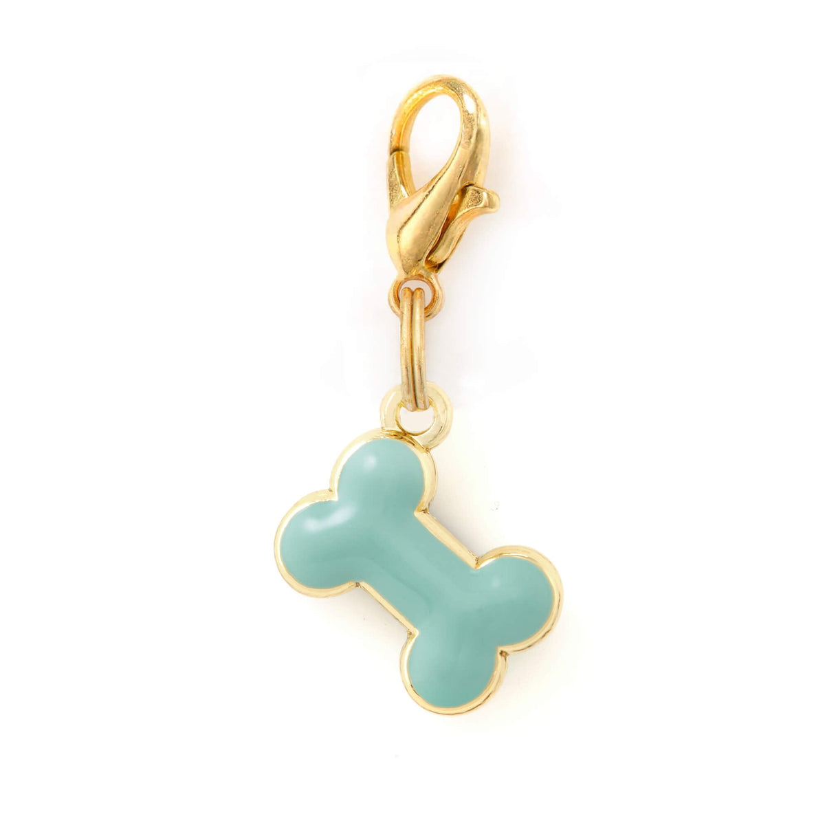 Mint Green Enamel Bone Dog Collar Charm with Gold Trim