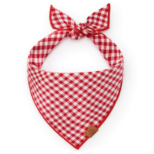 Red Gingham Tie-On Dog Bandana with Red Hem
