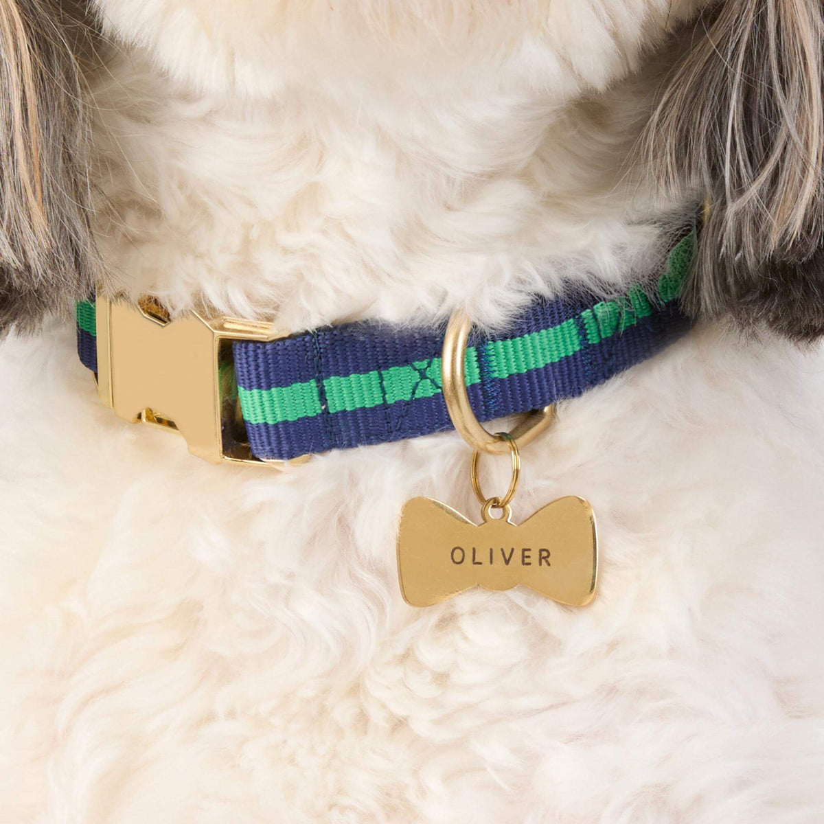 Bow Tie Stainless Steel Pet ID Tag for Dog Collars