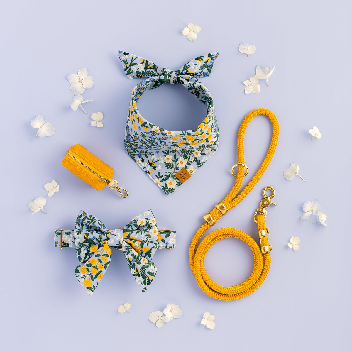 Golden Orange Marine Rope Dog Leash, 5 ft Double-Braided Nylon