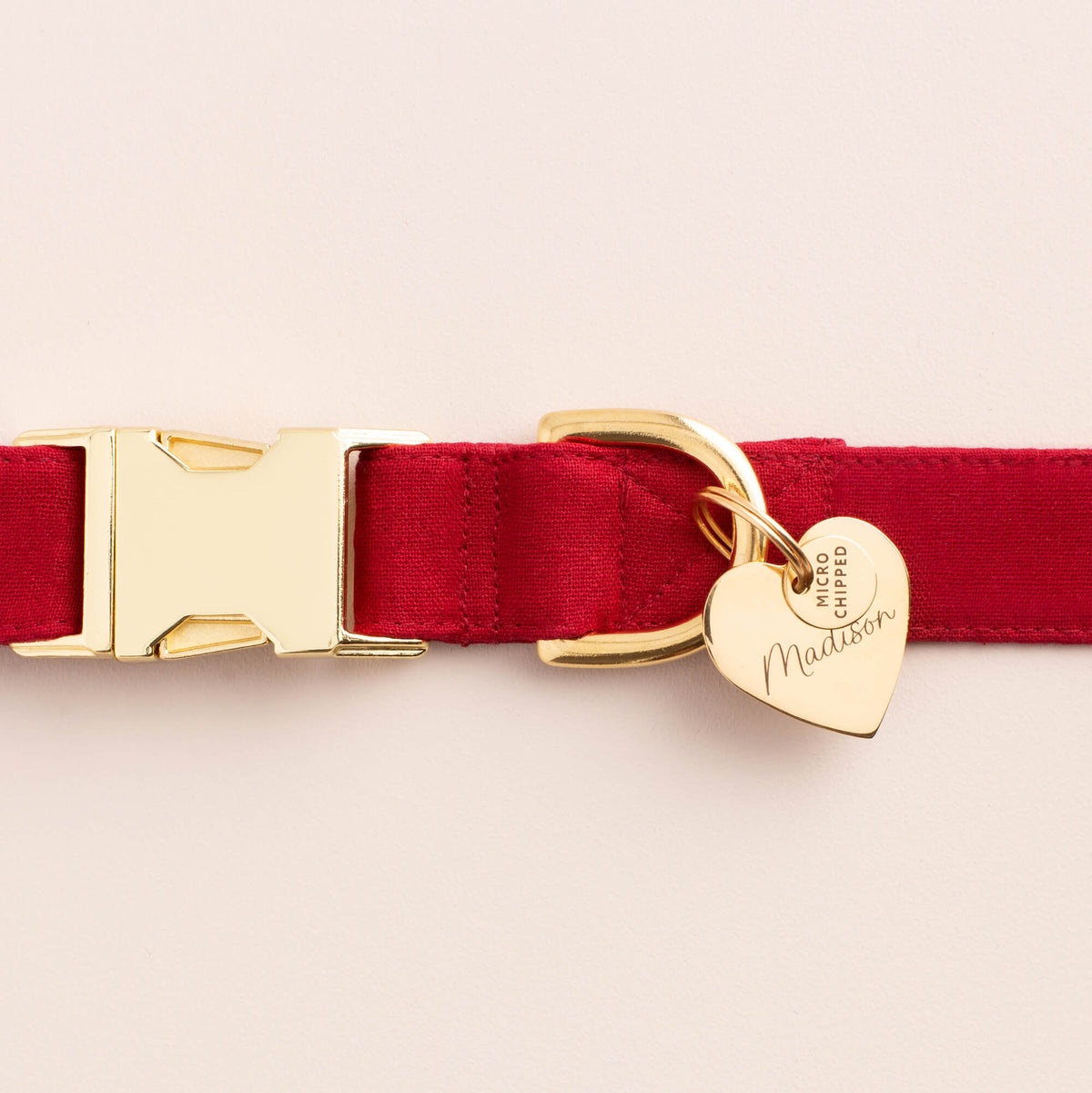 Mini Microchipped Pet ID Tag, Gold-Tone Stainless Steel