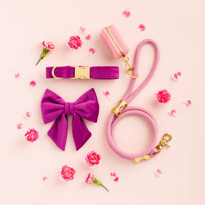 Purple Velvet Dog Collar with Gold Hardware