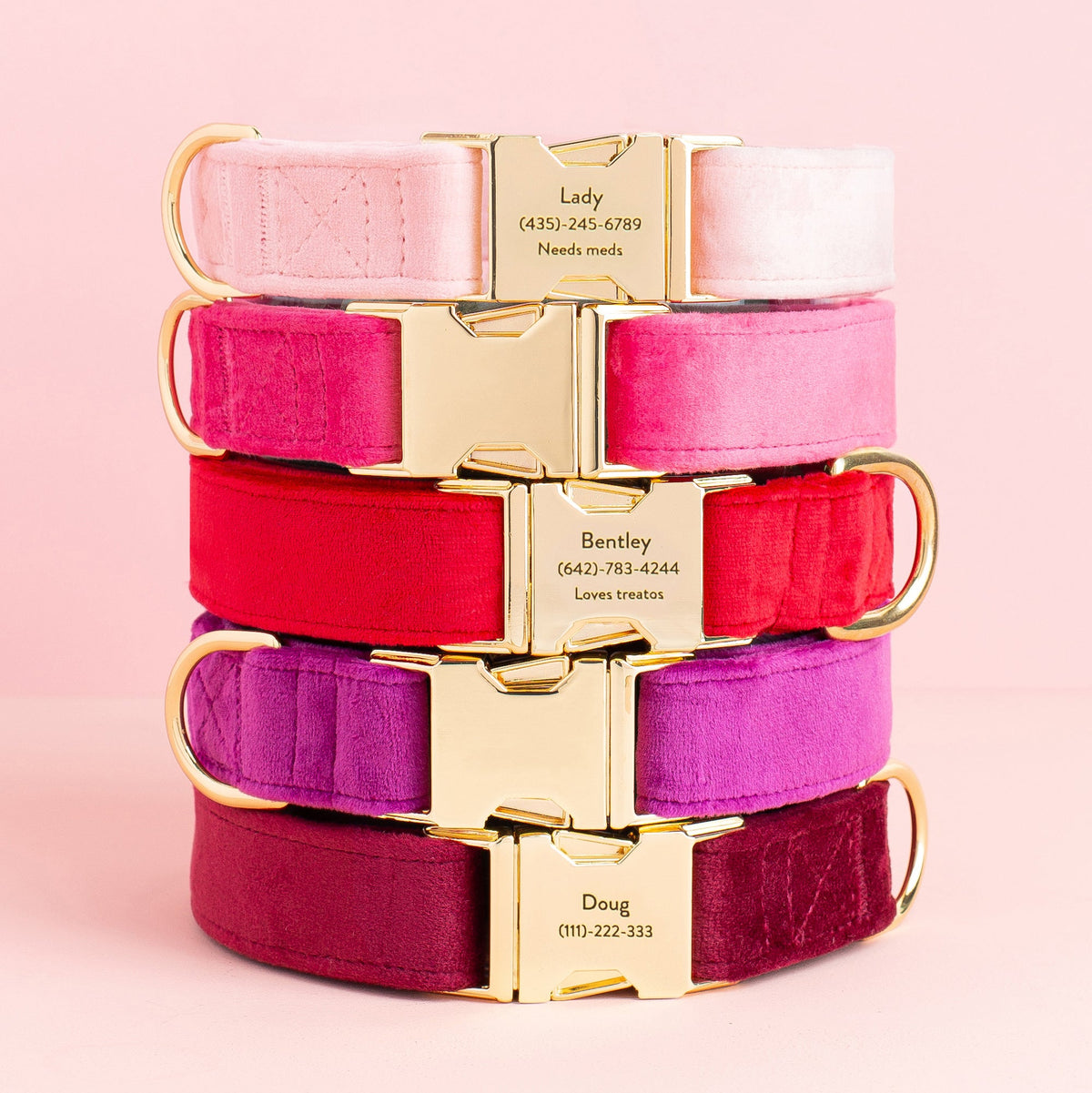 Red Velvet Dog Collar with Gold Hardware
