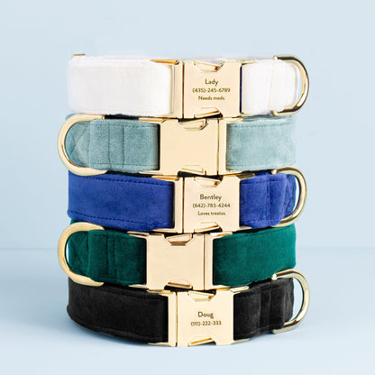 Ivory Velvet Dog Collar with Brass D-Ring