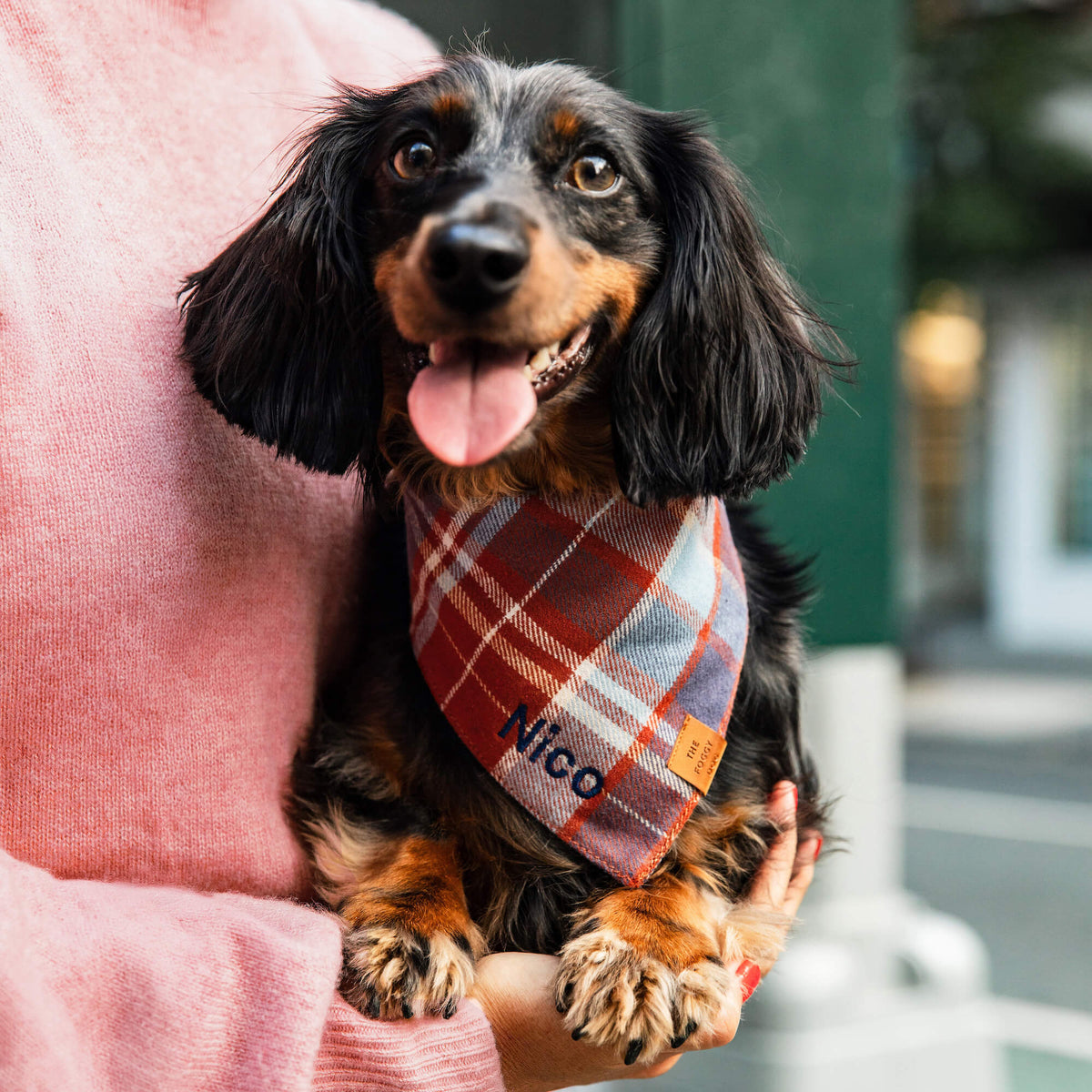 Rust & Blue Plaid Flannel Dog Bandana, Tie-On Style