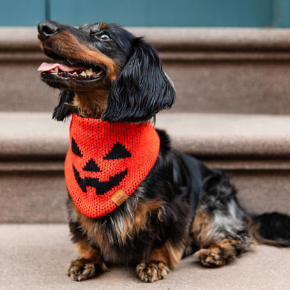 Jack-o'-Lantern Knit Dog Bandana with Snap Closure