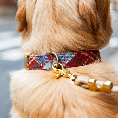 Rust Brown & Blue Plaid Flannel Dog Collar with Cotton Exterior
