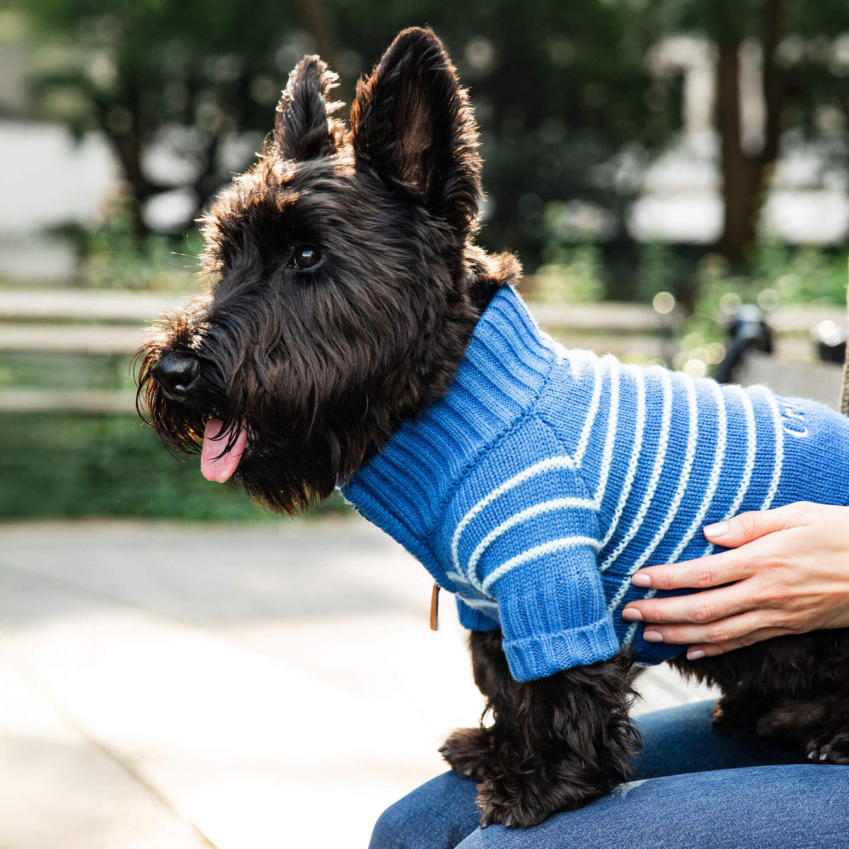 Blue Stripe Quarter-Zip Knit Turtleneck Dog Sweater