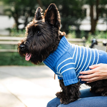 Blue Stripe Quarter-Zip Knit Turtleneck Dog Sweater