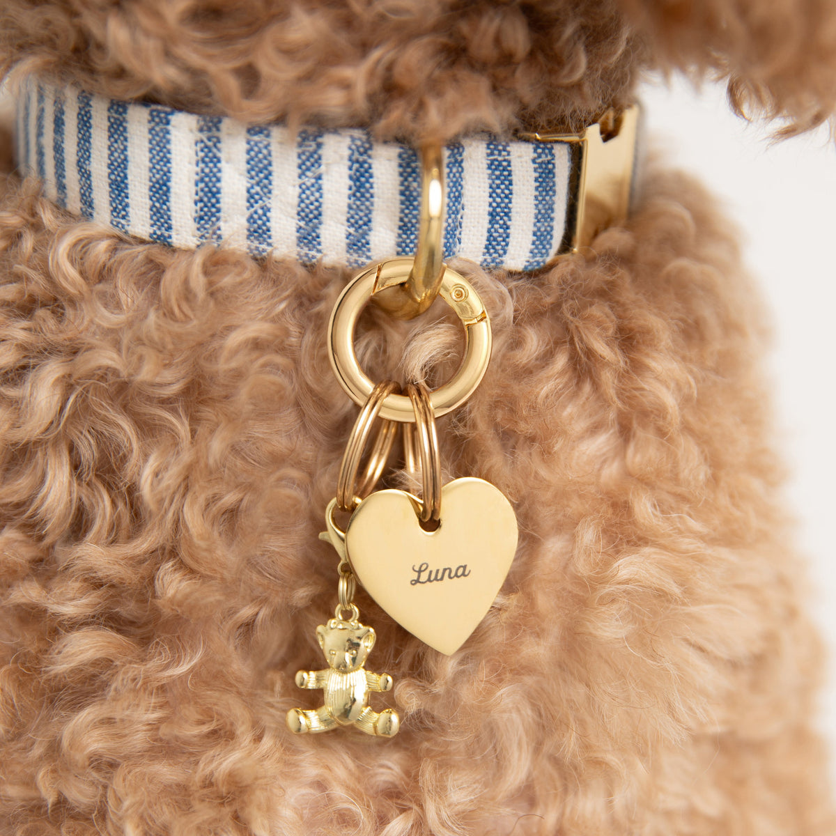 Gold Teddy Bear Collar Charm with Lobster Clasp
