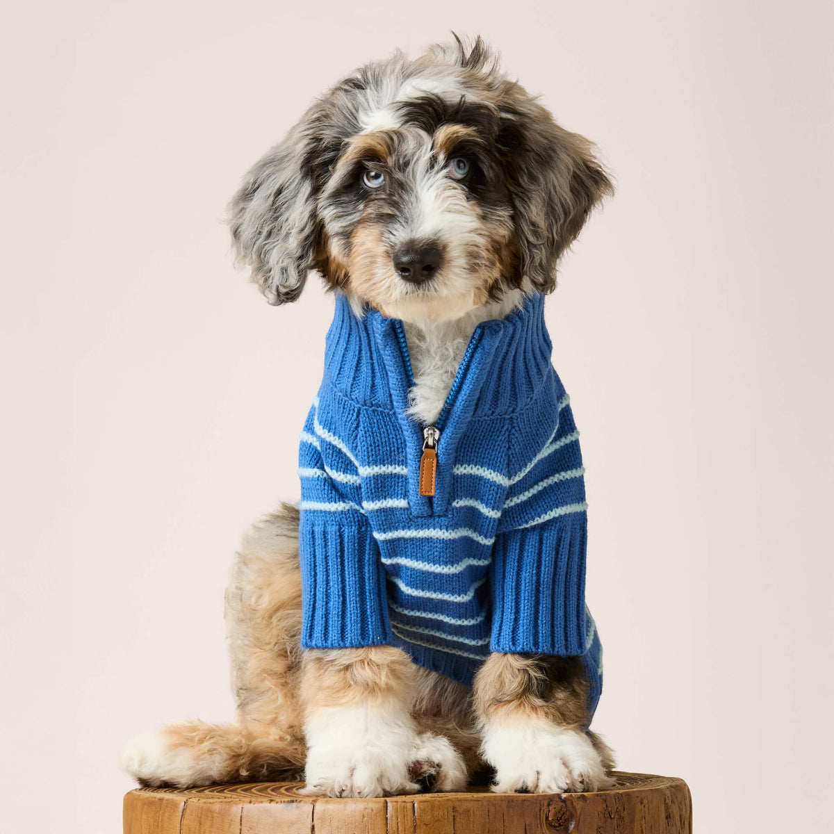 Blue Stripe Quarter-Zip Knit Turtleneck Dog Sweater
