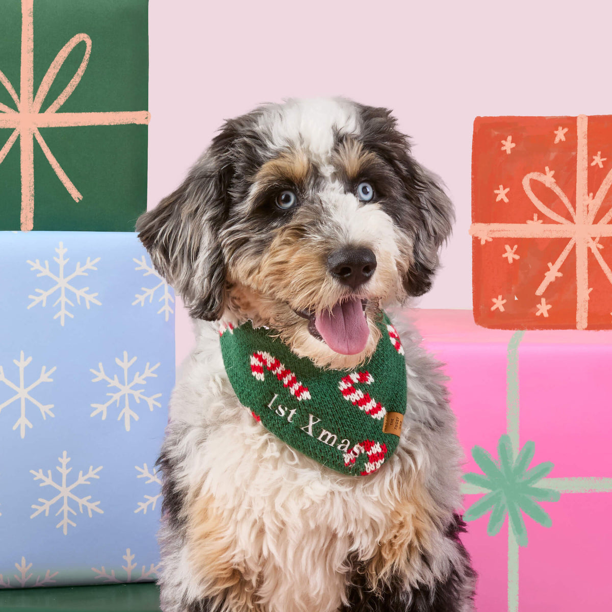 Green Candy Cane Sweater Knit Dog Bandana with Snap Closure