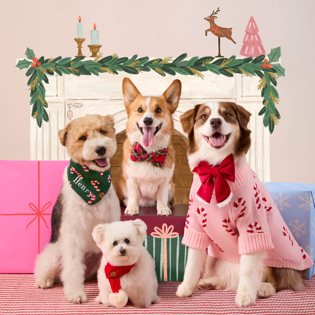 Green Candy Cane Sweater Knit Dog Bandana with Snap Closure