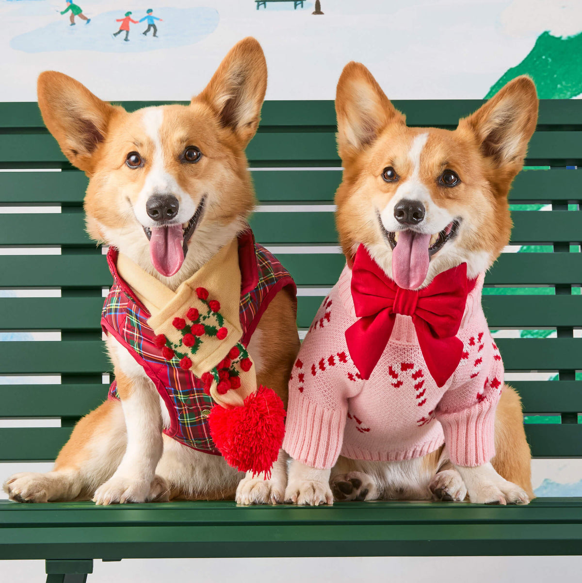 Cream Holly Bobble Knit Pull-Through Dog Scarf with Vegan Leather Tag