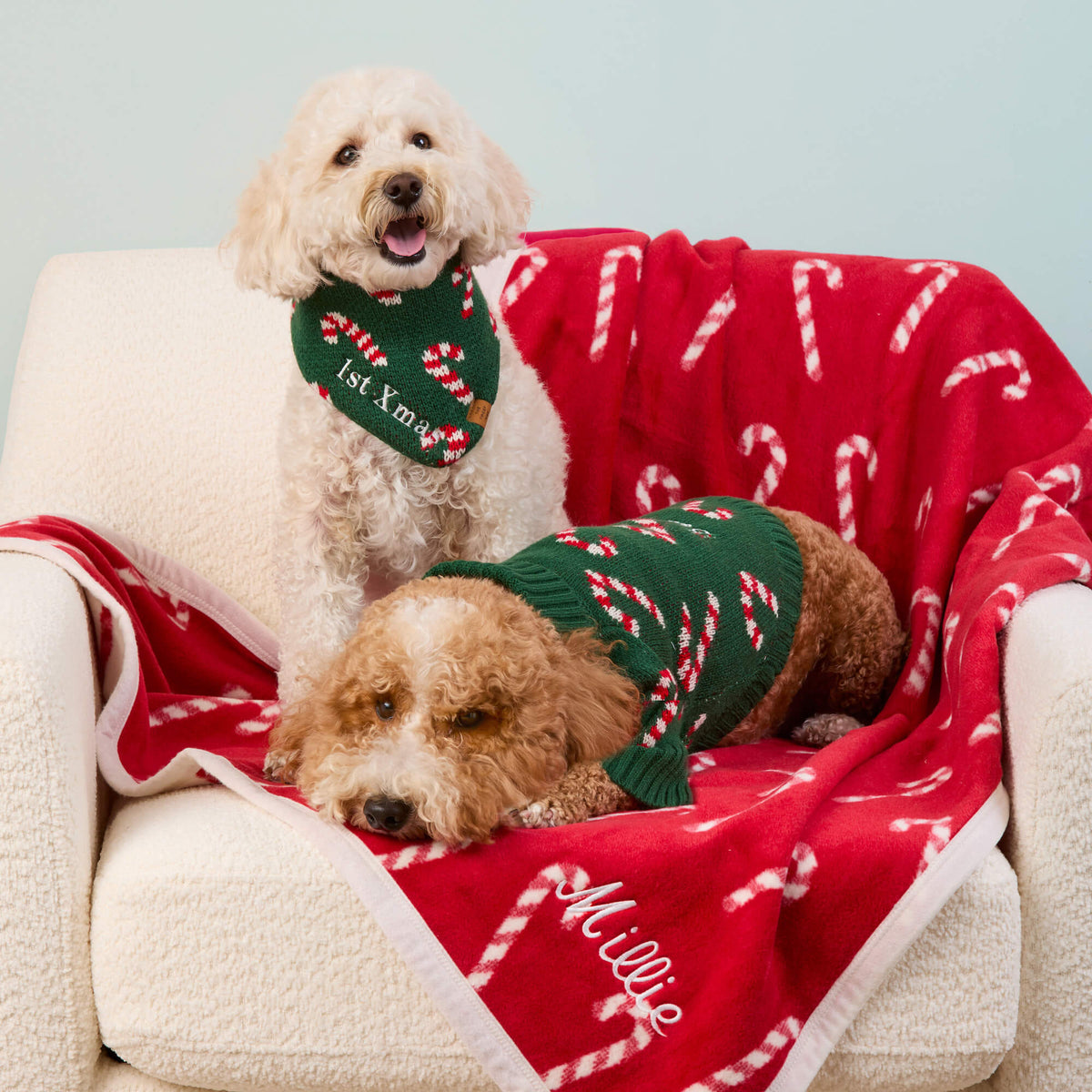 Green Candy Cane Sweater Knit Dog Bandana with Snap Closure